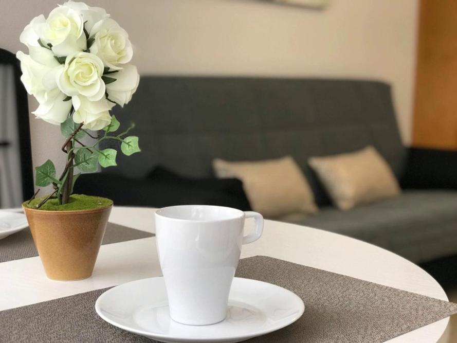 Del Cura Beach Apartment Τορεβιέχα Εξωτερικό φωτογραφία